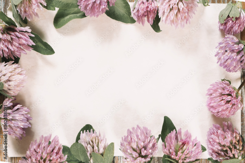 Frame of flowers. Composition pattern from wild flowers on white background, flat lay, top view. The concept of summer, spring, Mother's Day, March 8. Frame of flowers. Composition pattern from wild flowers on white background, flat lay, top view. The concept of summer, spring, Mother's Day, March 8.