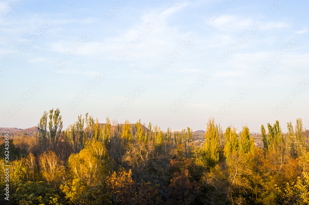 Fototapeta premium Autumn urban landscape on a Sunny day - yellow and colorful autumn trees, the sky with clouds with autumn haze
