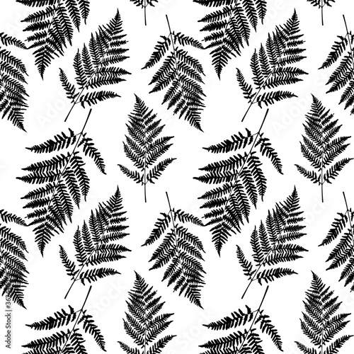 Fern leaf seamless pattern background. Vector Illustration
