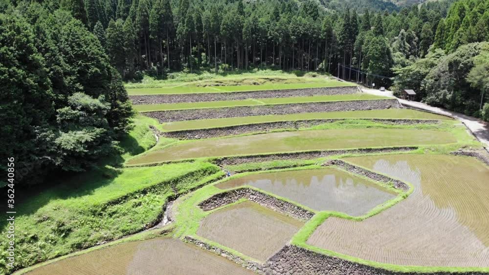 鹿児島県 湧水町 幸田の棚田 鹿児島県 湧水町 幸田の棚田