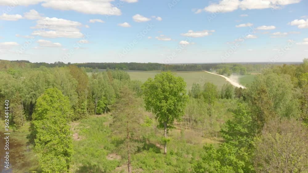 Drone flying forward above sunny forest and lake in Northern Europe Drone flying forward above sunny forest and lake in Northern Europe