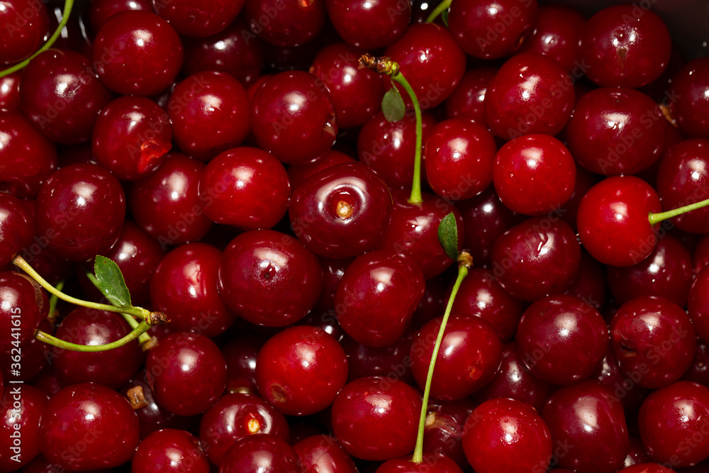 Ripe cherry. Background of red berries. Ripe cherry. Background of red berries.