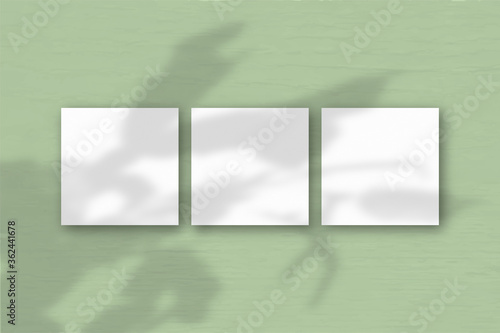3 square sheets of white textured paper on the green wall background. Mockup overlay with the plant shadows. Natural light casts shadows from the geraniums. Flat lay, top view