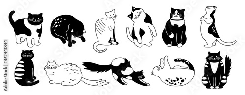 Cat character collection. Bundle cute flat cartoon design pet set. Different kitty breeds. Funny cats sitting, sleeping. Monochrome hand drawn animals contour lines. Isolated vector illustration