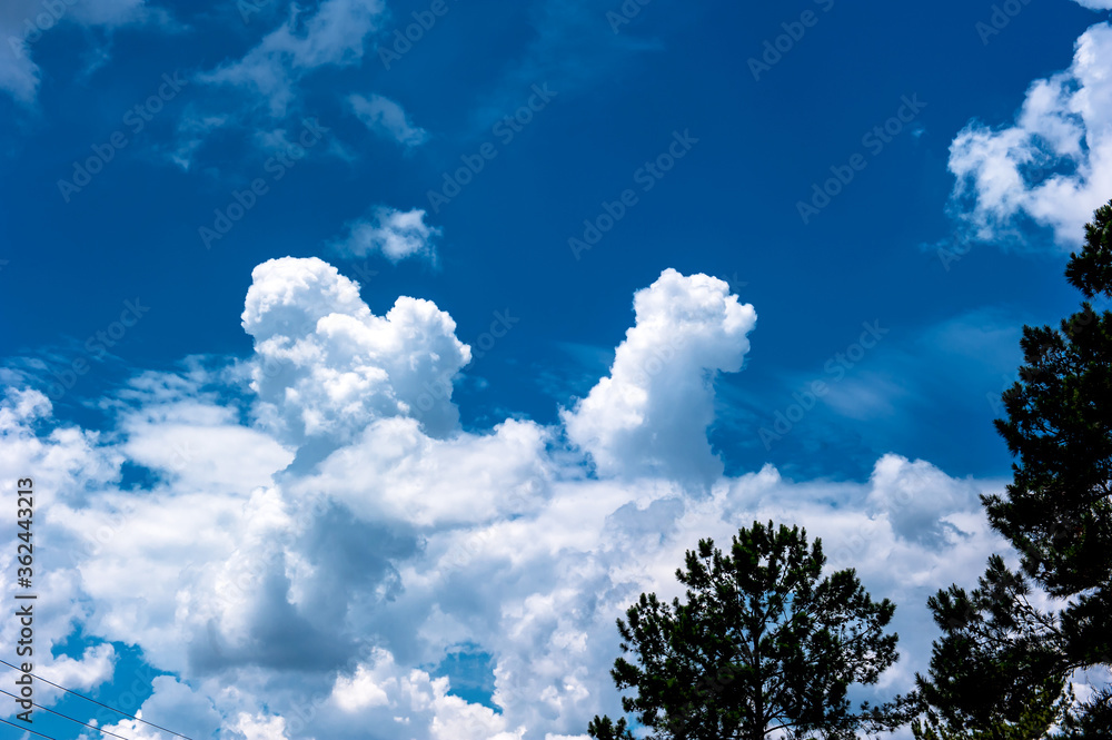 Beautiful and curious clouds background blue sky at Florida. Beautiful and curious clouds background blue sky at Florida.