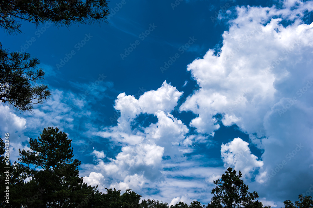 Beautiful and curious clouds background blue sky at Florida. Beautiful and curious clouds background blue sky at Florida.