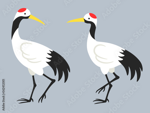 歩く鶴のペアのイラスト
