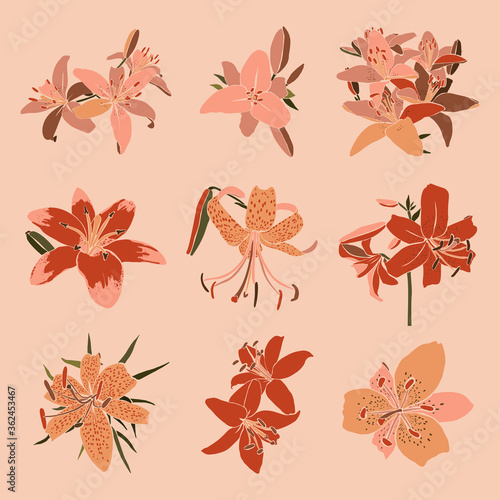 Collection Art collage lily flower in a minimal trendy style. Silhouette of lily plants. Vector