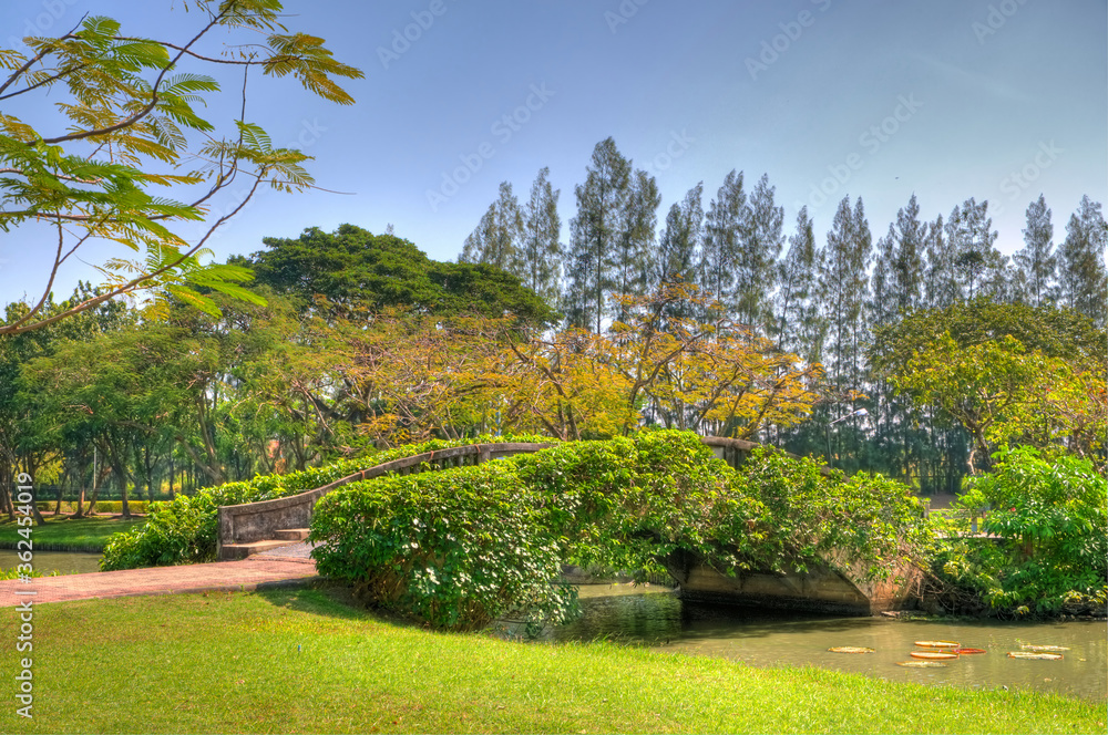 A Concrete Bridge in a Park Partially Covered with Leaves (in high dynamic range)