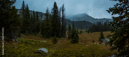 mountain forest with approaching storm in the Beartooth wilderness photo