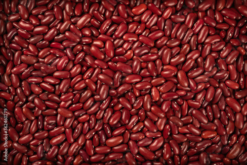 Photos Red kidney beans background