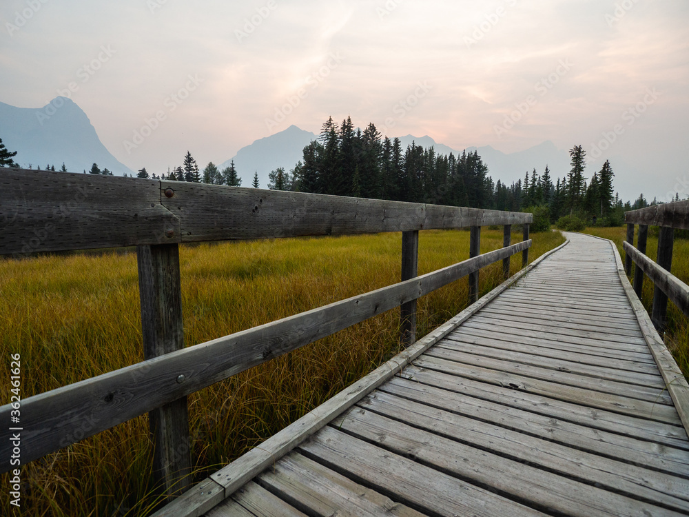wooden walking path in the mountains in summer on a sunset