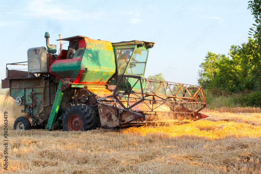 Obraz premium combine harvester working on a field