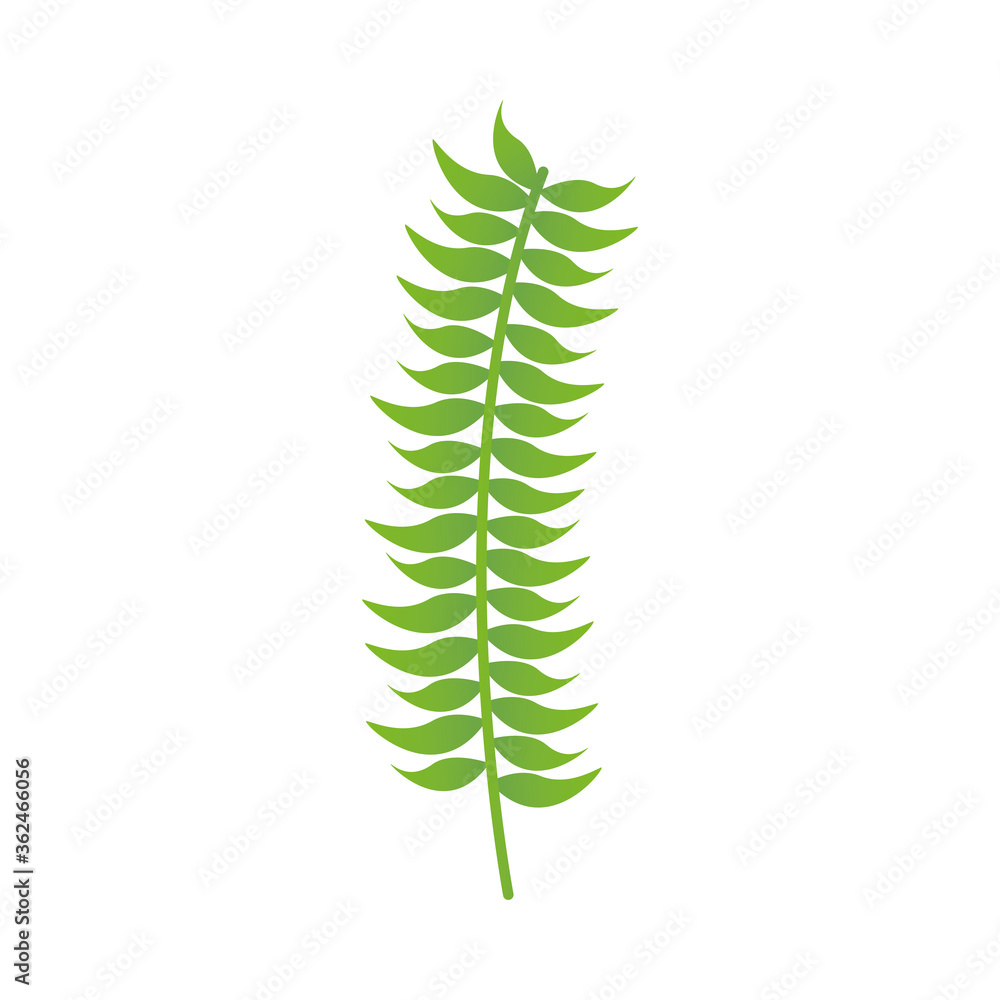 Isolated green leaf vector design Isolated green leaf vector design