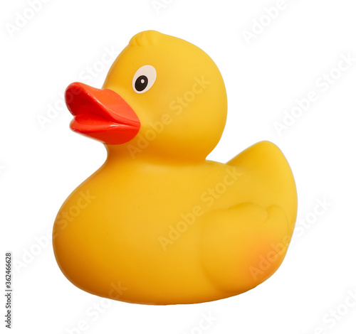 Print op canvas Rubber duck toy isolated over white background