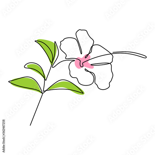 Beautiful flower one line continuous drawing style. Jasmine balinese flower minimalist design. Beauty fresh evergreen jasmine flower for garden logo, top view. Vector design illustration