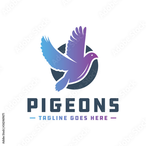 Pigeon vector logo design