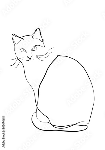 One line drawing of the cat in modern minimalistic style, line illustration