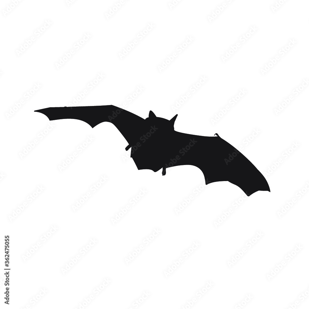 Bat vector silhouette. Bat icon