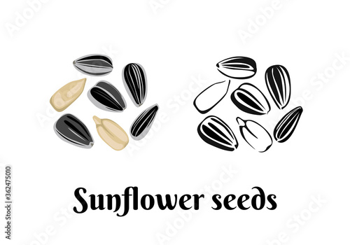 Sunflower seeds isolated on white background. Vector color illustration of  seed in shell and peeled in cartoon flat style and black and white outline. Organic food Icon.