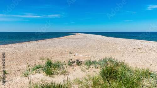 traditional summer landscape with sandy and pebbly promontory  blue sea and sky  Harilaid Nature Reserve  Estonia  Baltic Sea