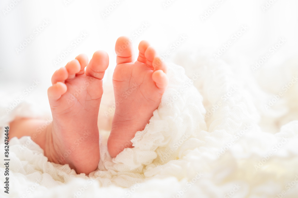 赤ちゃんの小さな足 新生児のニューボーンフォト Foto De Stock Adobe Stock