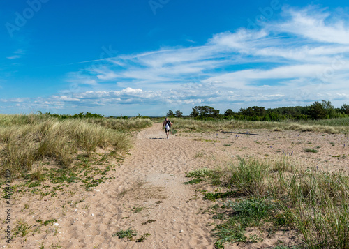 Fototapeta Naklejka Na Ścianę i Meble -  summer day with the flowering shore of Saaremaa, sandy footpath in the sand dunes, Harilaid Nature Reserve, Estonia, Baltic Sea