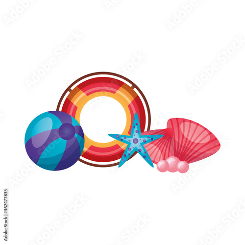 summer float ball star and shells vector design