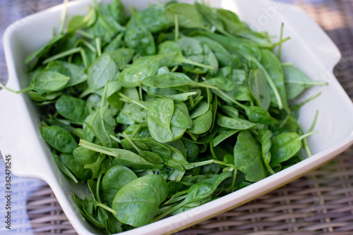 Clean food concept. Leaves of ripe juicy freshly picked organic baby spinach greens on the table. Healthy detox spring-summer diet. Vegan raw foods. Soft selective focus.