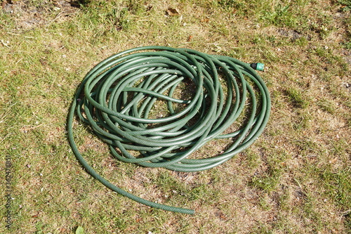 A green garden hose coiled up on desiccated grass on a dry lawn in a Dutch garden.