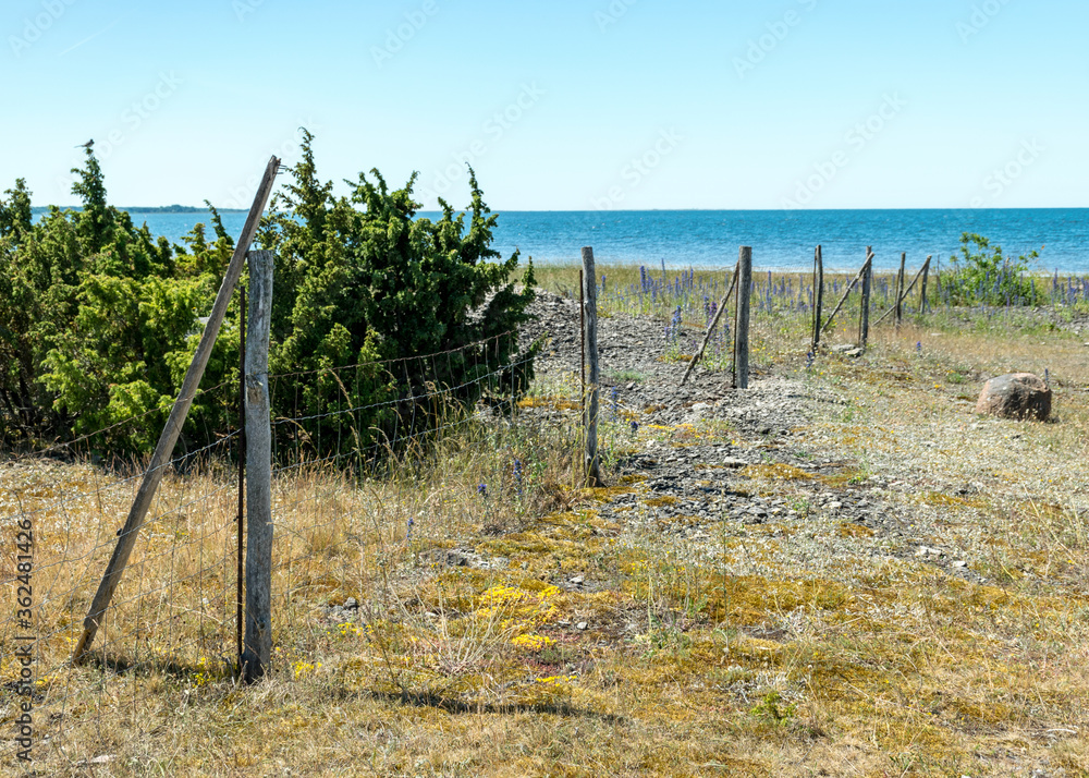 summer landscape with a natural wooden fence on a rocky sea shore, Saaremaa Island, Estonia