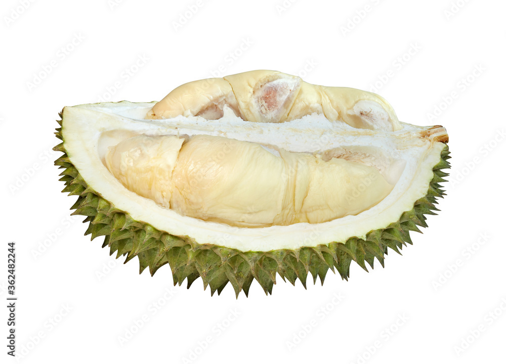 Fototapeta premium Durian isolated on white background