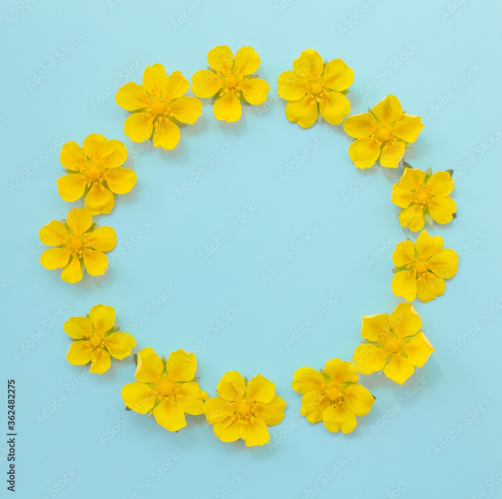 Round frame of yellow flowers on a blue background. Summer concept. Mockup, copy space Round frame of yellow flowers on a blue background. Summer concept. Mockup, copy space