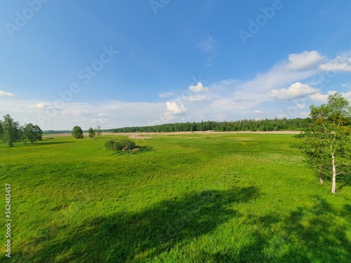 Panorama z wieży widokowej na rozlewiskach w okolicach Białowieży w Polsce 06/2020