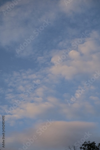 Fototapeta Naklejka Na Ścianę i Meble -  夕暮れの雲