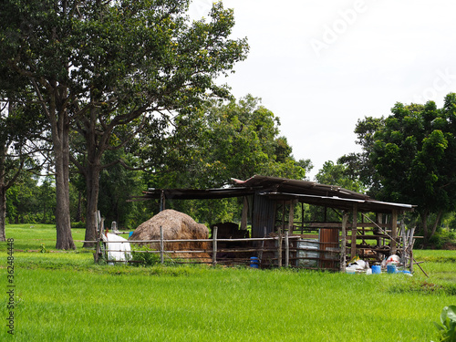 Old farm house in the countryside of Thailand © Montree