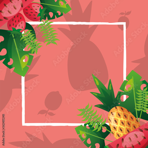 Pineapple watermelon strawberry and leaves with frame vector design