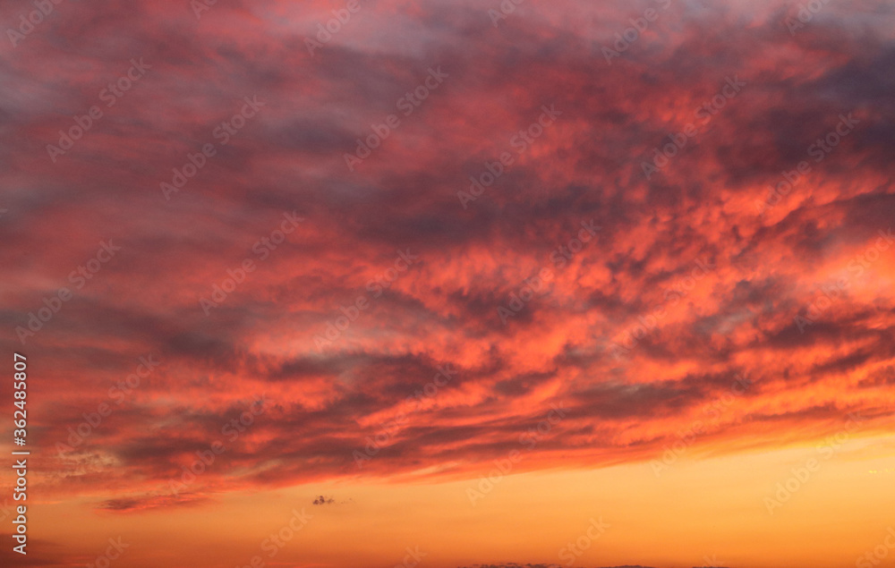 Background of fiery bright clouds in the sunset sky on a summer evening