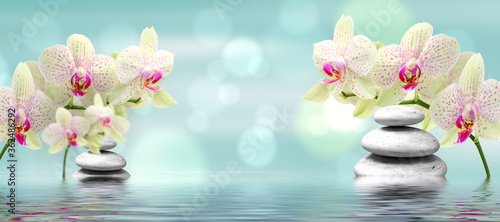 Spa - Natural Alternative Therapy With Massage Stones In Water