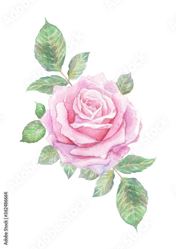 Hand-painted watercolor pink rose composition