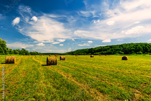 Scenic view at beautiful hay stacks in a green shiny field with green grass, deep blue cloudy sky , trees and country road, leading far away, summer valley landscape