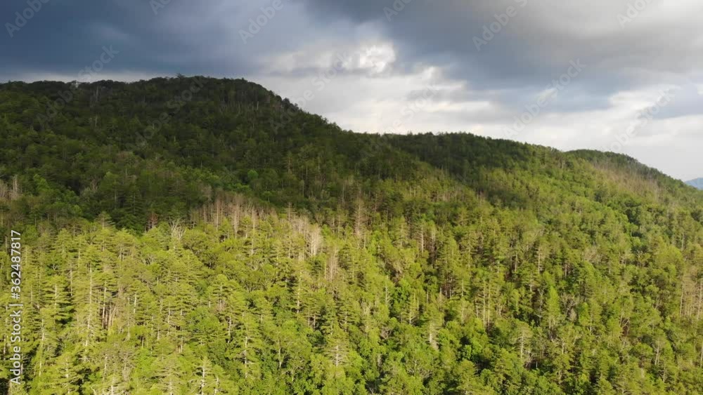 forest mountains at sunset aerial drone rotate reveal forest mountains at sunset aerial drone rotate reveal