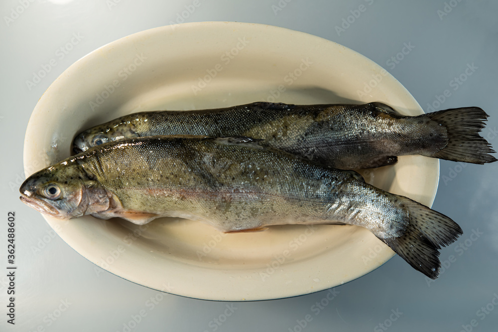 River trout fish lies in a dish. River trout fish lies in a dish.