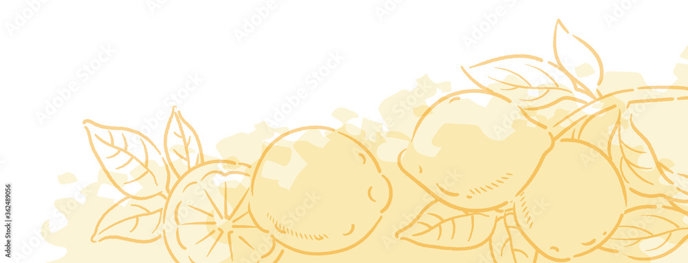 背景やバナーに使える レモンのスケッチ風イラスト ベクター画像 Stock Vector Adobe Stock