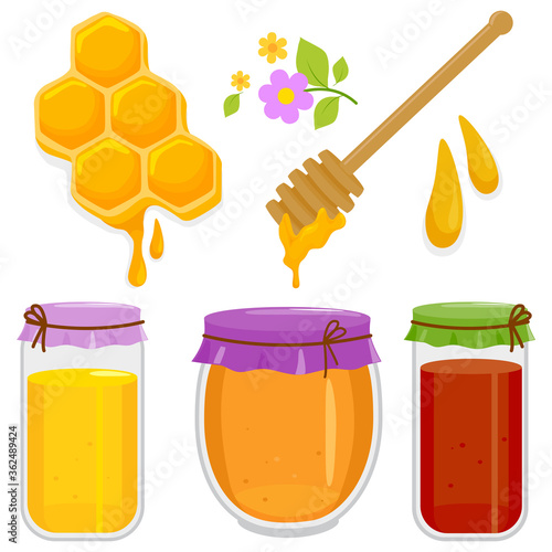 Honey in jars, honey dipper and honeycomb. Vector illustration