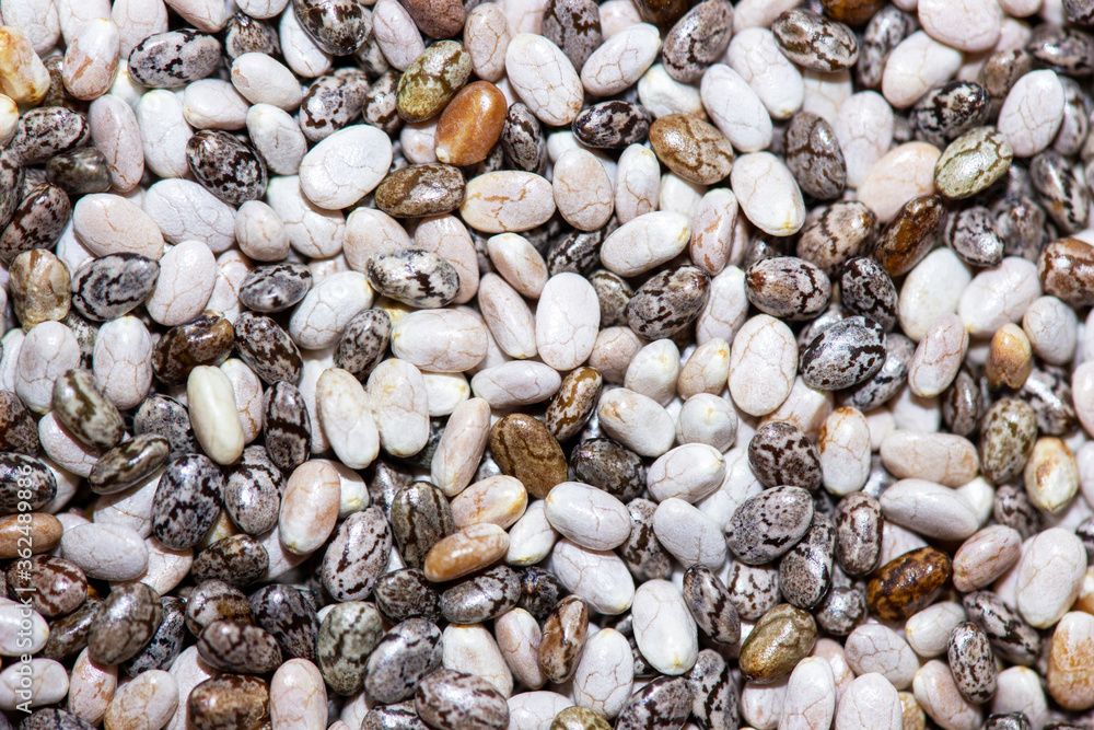 Organic Quinoa (Chenopodium quinoa) seeds Macro close up background texture. Top view. Organic Quinoa (Chenopodium quinoa) seeds Macro close up background texture. Top view.