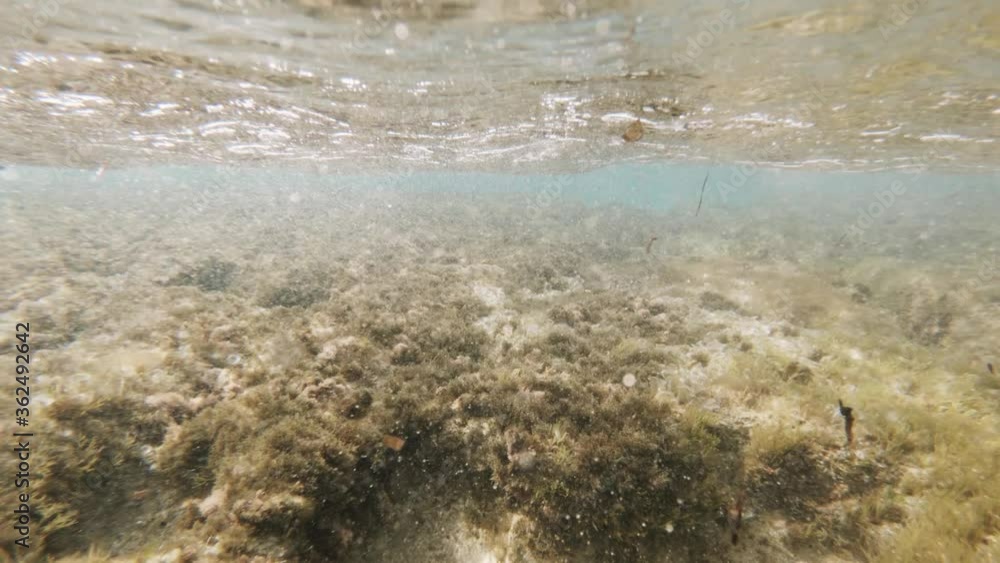 Ocean wave crashing into camera. Slow motion POV. Underwater shot. Location: Mallorca, Spain. Ocean wave crashing into camera. Slow motion POV. Underwater shot. Location: Mallorca, Spain.