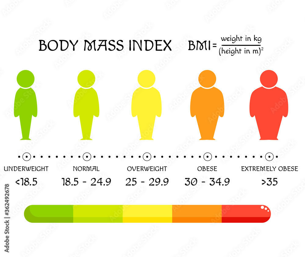 BMI concept. Body shapes from underweight to extremely obese - obrazy, fototapety, plakaty 