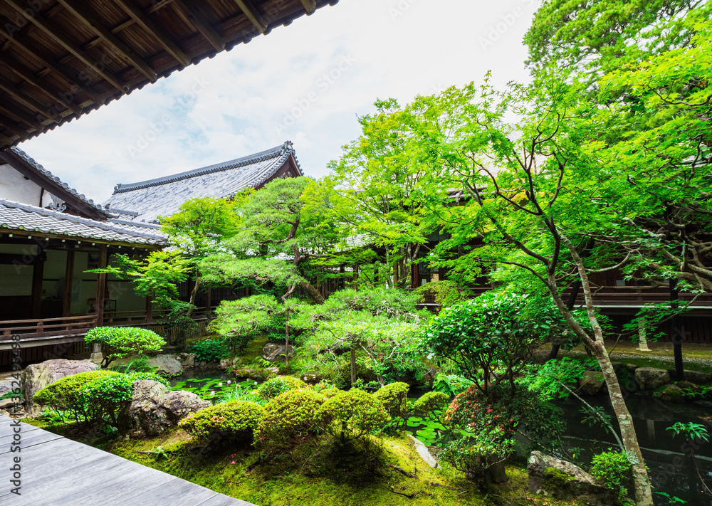Fototapeta Świątynia Eikando Zenrinji w Kioto