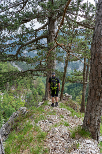 Male Person enjoying the view of the Austrian Mountains at the Weichtalklamm in Lower Austria © David Irlweg
